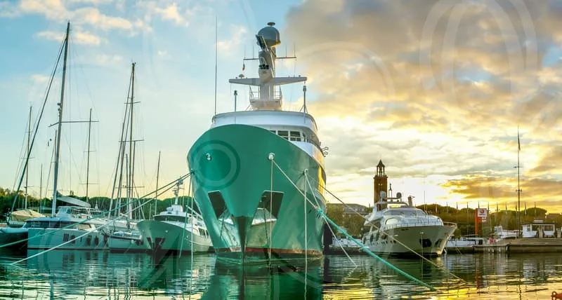 정관장선물세트