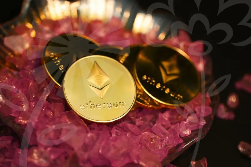 개인사업자정부지원대출