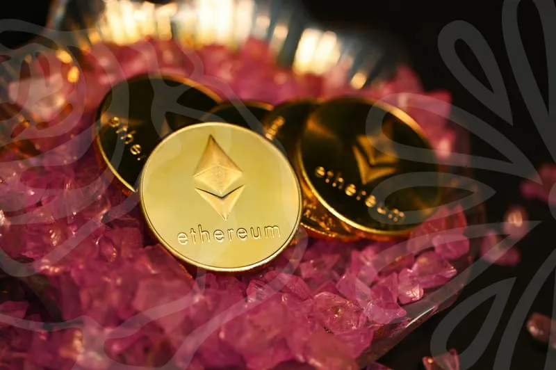 구인구직사이트