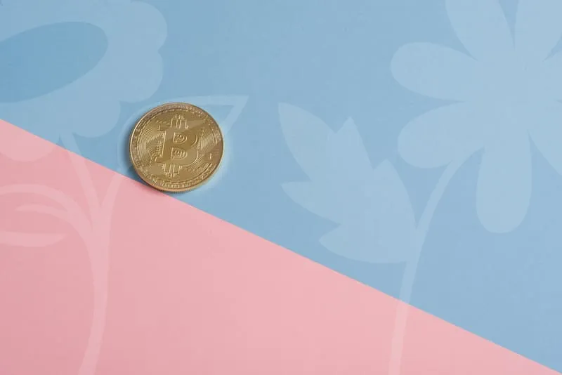 자금조달계획서양식