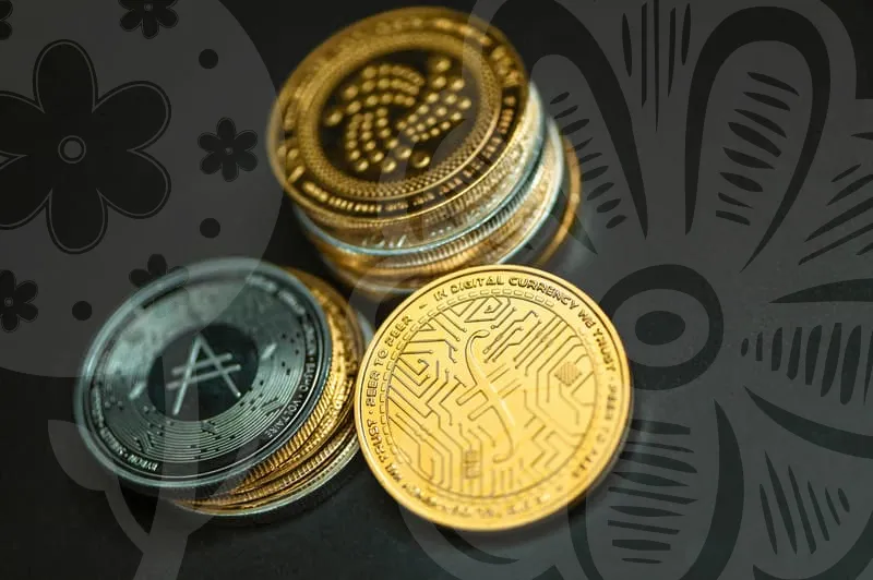 돈많이버는직업