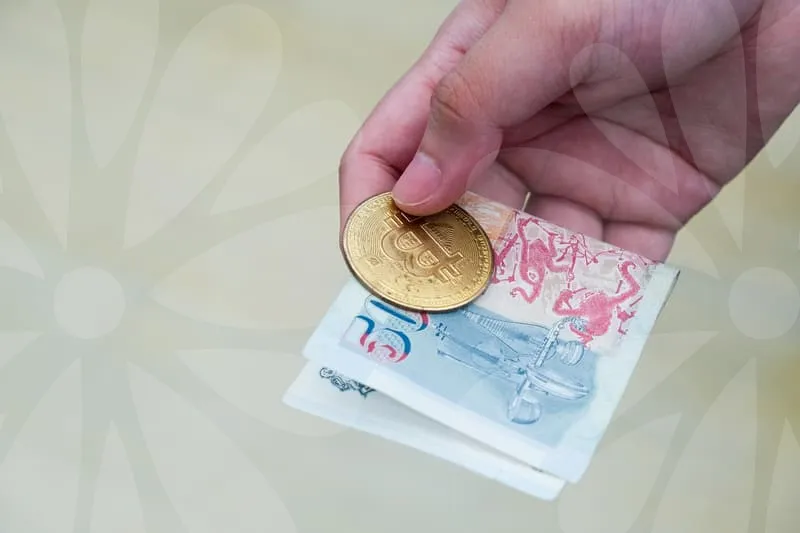 투자유치