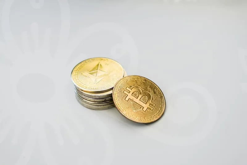 상속지분