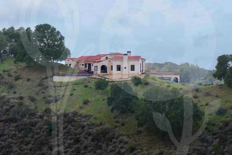 무료영화다운로드