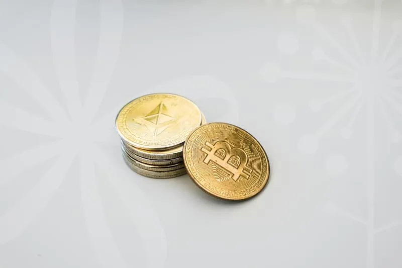 무료영화다운사이트