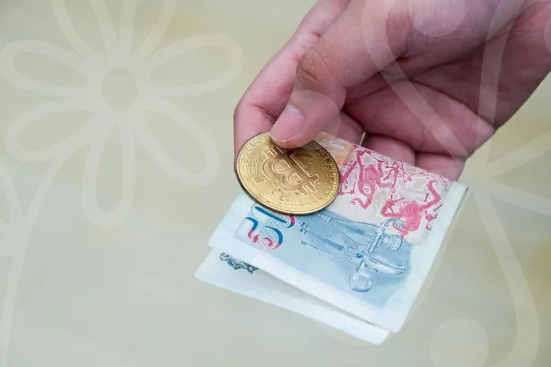무료웹소설