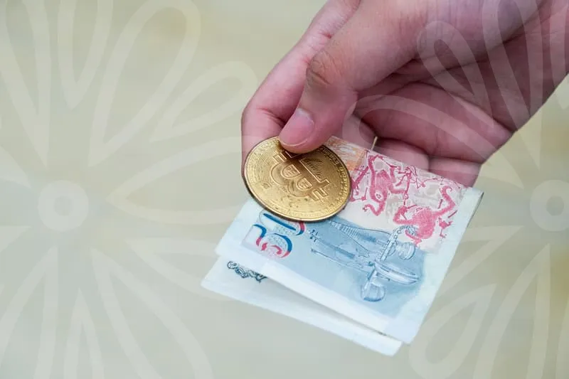 나스장비