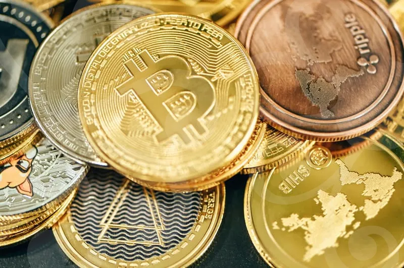 파일업로드