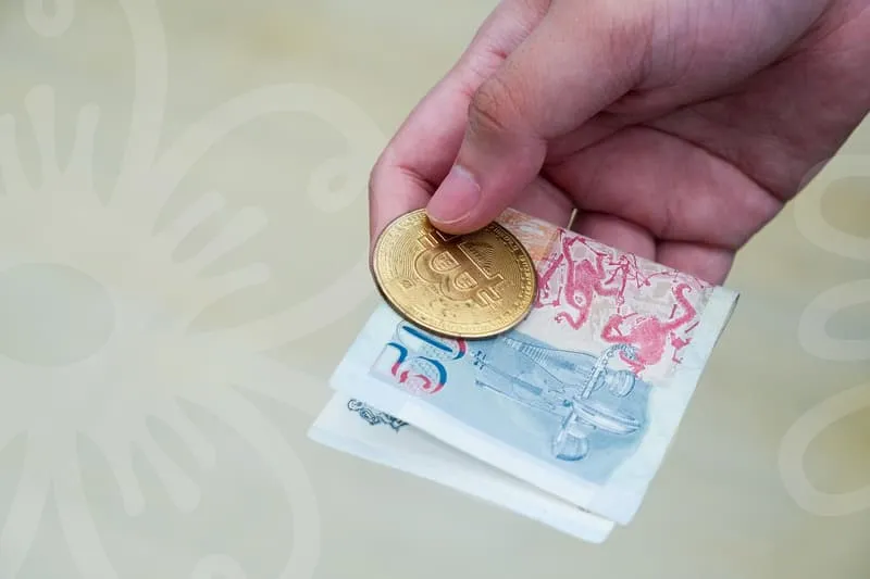 영화보기사이트