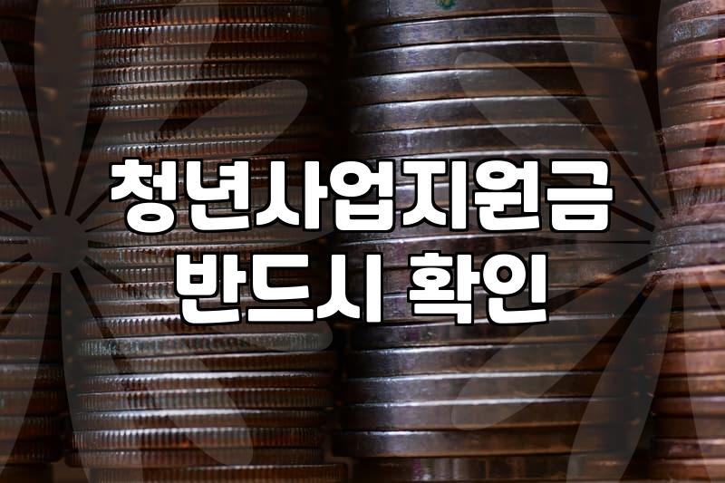 청년 개인사업자를 위한 지원금과 금융 혜택 제대로 찾아보기