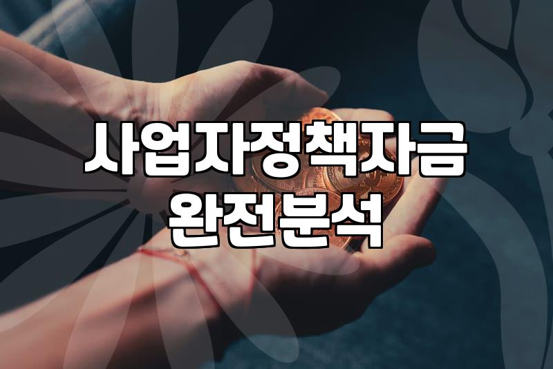 청년창업지원금 신청 대상과 실제 지원 혜택 확인하는 법