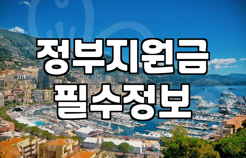 정부 지원 보조금의 달콤한 덫, 30대 실무자가 겪은 정산과 기회비용의 현실