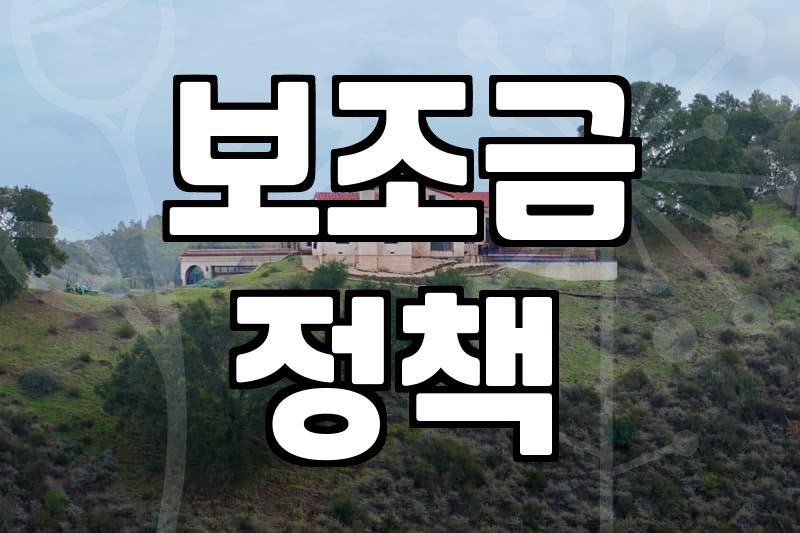 보조금, 신청하면 무조건 이득일까? 현실적인 고민들