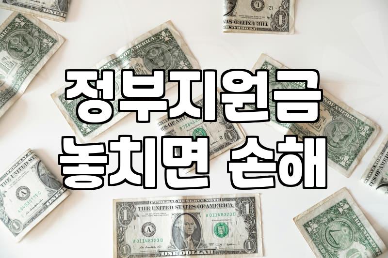 보조금 수령 가능한 대상과 신청 시 주의사항