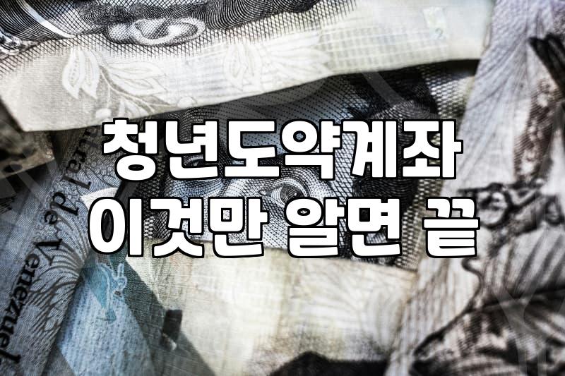 나만 빼고 다 받는 듯한 청년복지 혜택 제대로 챙기는 현실적인 방법