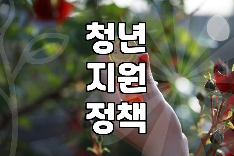 청년복지 정책, 신청 전 꼭 알아야 할 현실적인 고민들