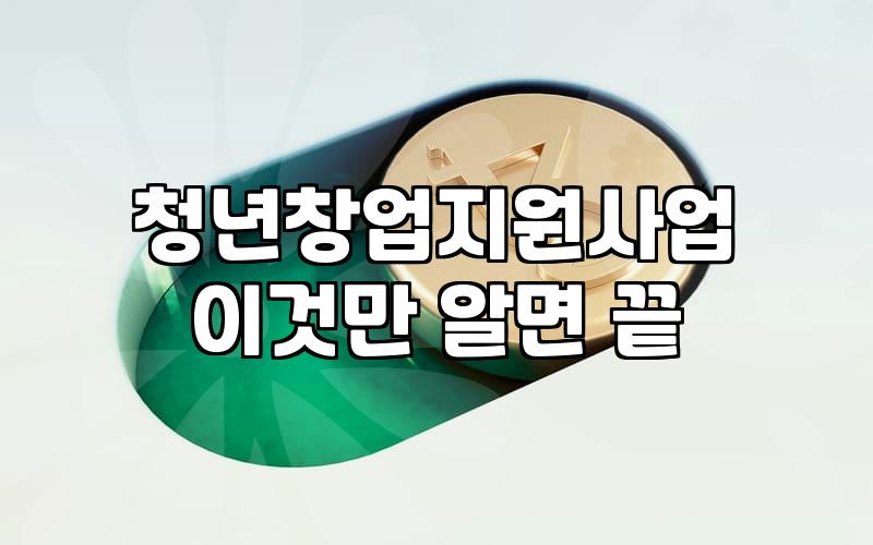 청년정부지원금 신청 조건과 실질적인 선정 확률 높이는 전략