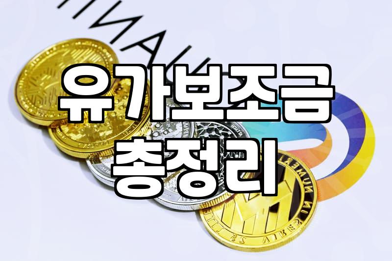 실질적으로 내 주머니를 채워주는 정부 보조금 제대로 받는 현실적인 방법