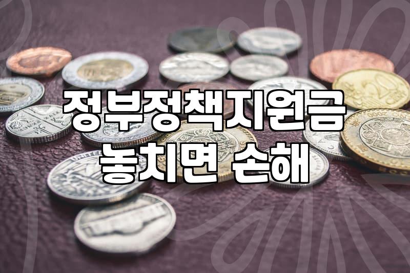청년지원사업 종류별 신청 조건과 지원금 수령 방식