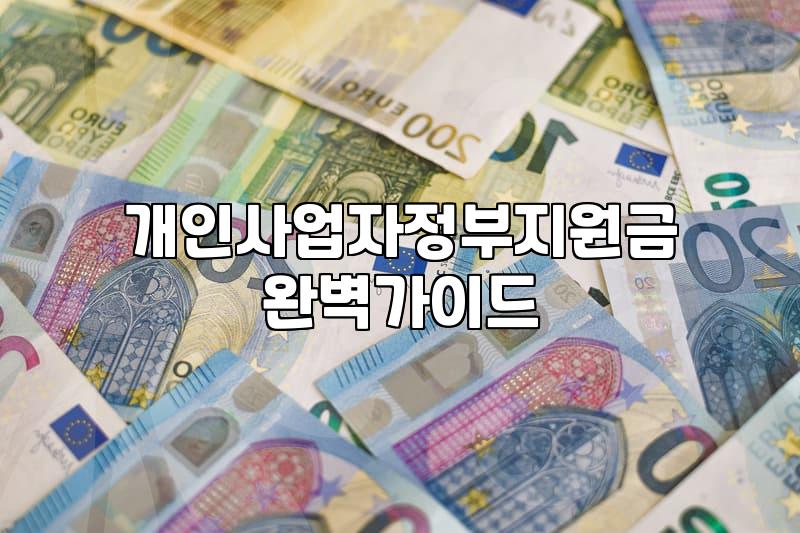청년 개인사업자를 위한 정부 지원금, 기대와 현실 사이의 온도 차