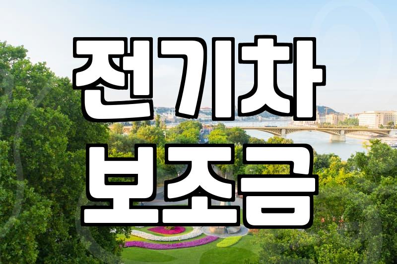 스타리아 EV 보조금 계산하다 머리만 복잡해진 날