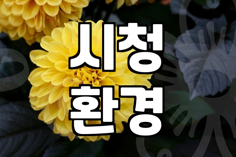 극장과 OTT영화 사이에서 고민하는 당신을 위한 선택 기준