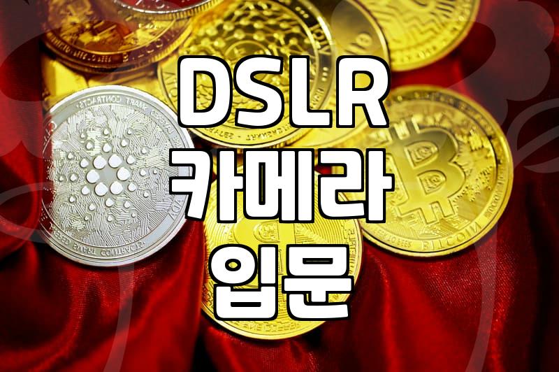 DSLR, 처음엔 장비 욕심… 결국 인물 사진 잘 찍는 법에 집중하게 된 이야기