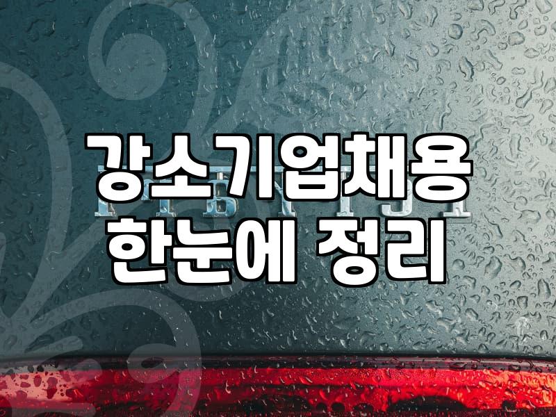 강소기업 지원사업과 실제 채용 시장의 분위기