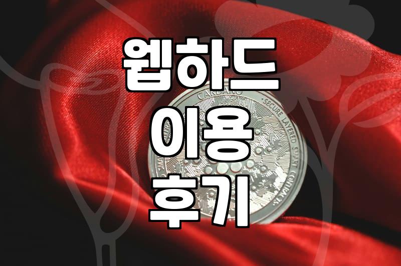 오래된 영화 하나 보려고 웹하드 사이트를 뒤적거렸다