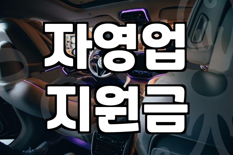 정부 지원금, ‘묻지마 신청’은 금물… 현실적인 접근법과 실패 사례