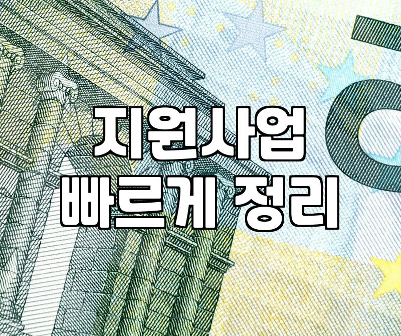 정부지원정책자금, 서류 뒤에 가려진 냉혹한 현실