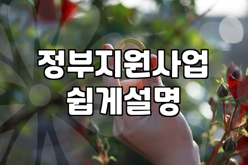 중소기업을 위한 운전자금 지원과 정부 정책 활용법