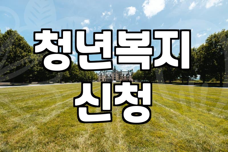 청년복지 정책, 신청만 하면 다 되는 걸까? 실무에서 겪은 허와 실