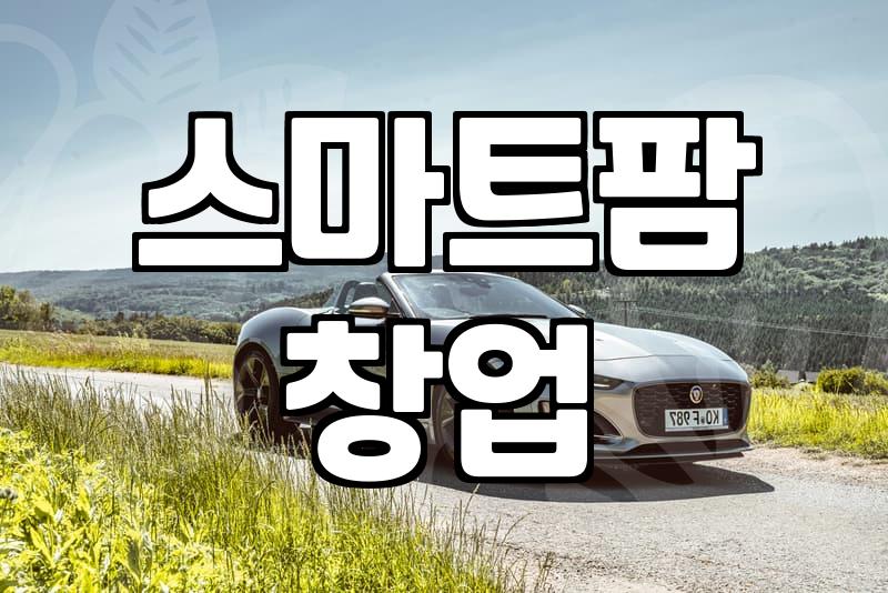 스마트팜에서 토마토와 딸기를 직접 키워본다는 것