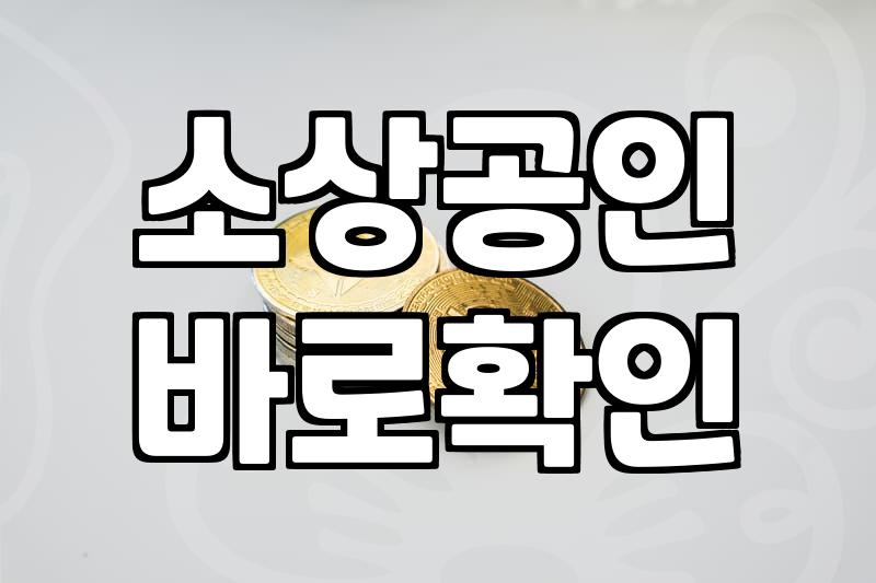 개인사업자정부지원대출 신청 전 꼭 확인해야 할 핵심 요건