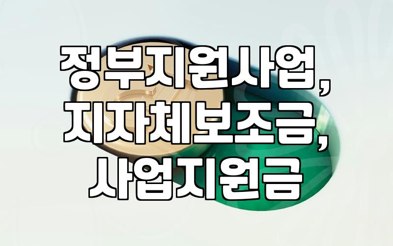 정부 보조금, 일단 신청부터 해볼까? 현실적인 고민과 팁