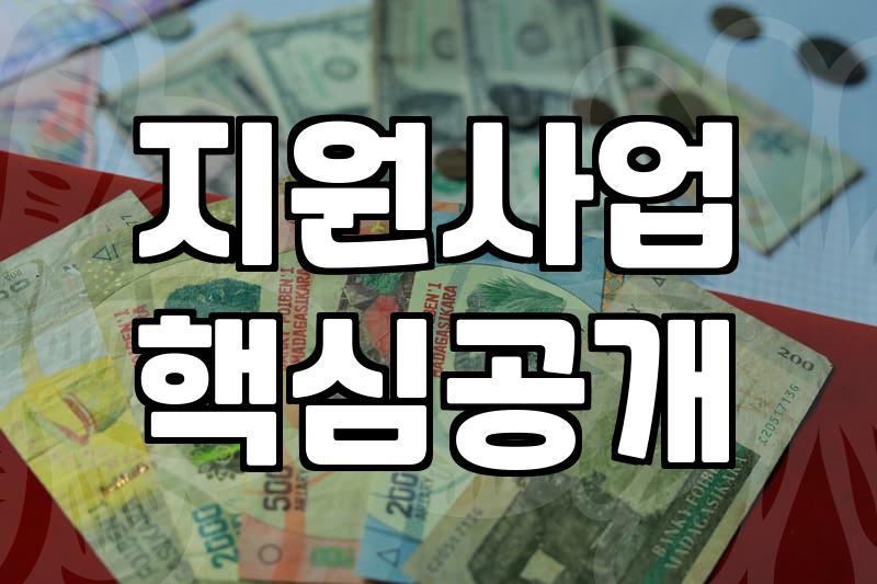 정부 지원사업 신청 전 반드시 확인해야 할 실무 포인트