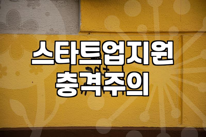 지원사업 신청 시 탈락을 피하는 실질적인 평가 기준과 준비 전략