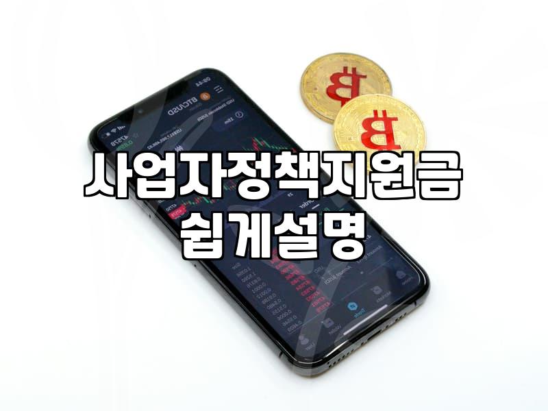 소상공인정부지원 대상 조건과 사업별 자금 확보 전략