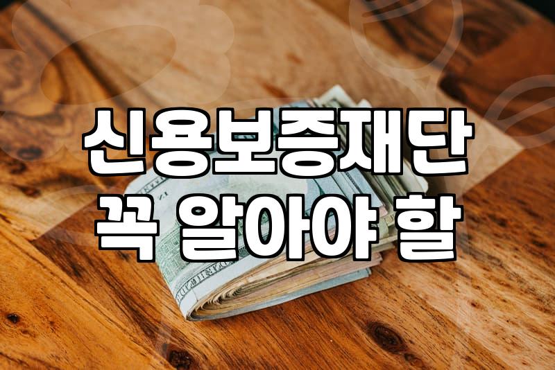 제주도정책자금 신청 전 알아야 할 현실적인 금융 판단 기준