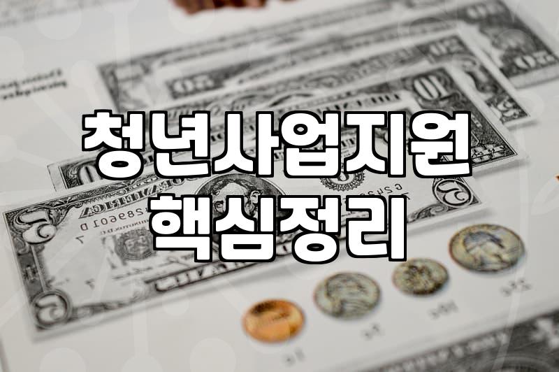 청년지원사업 신청 자격과 실질적인 혜택 확인하는 법