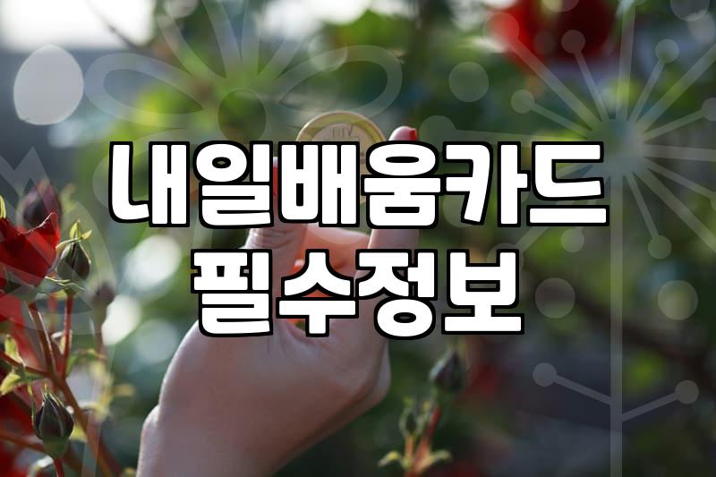 내일배움카드로 국비지원 직업훈련 받는 방법