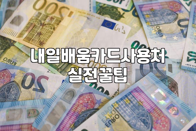 국민취업지원제도, 현실적인 활용법과 이것만은 알아두자