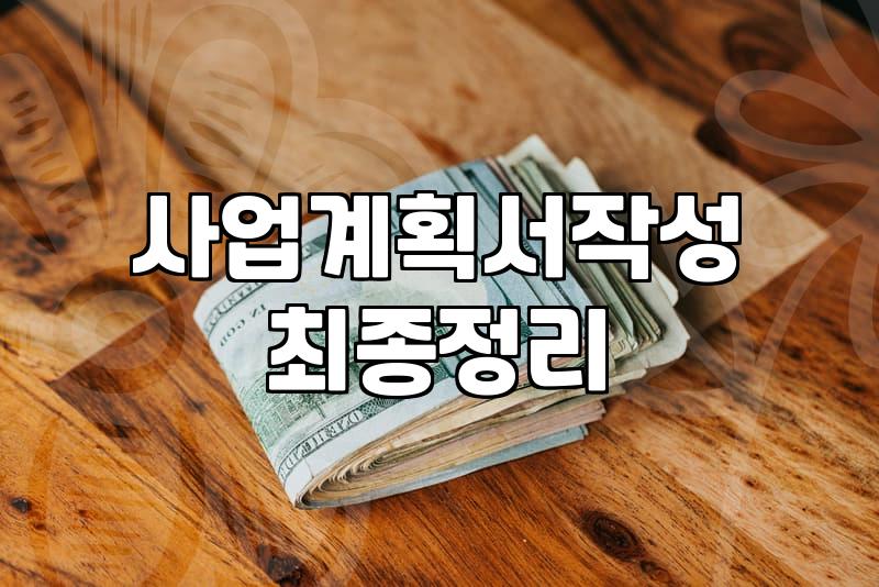 사업계획서 작성, 현실적인 조언과 딜레마