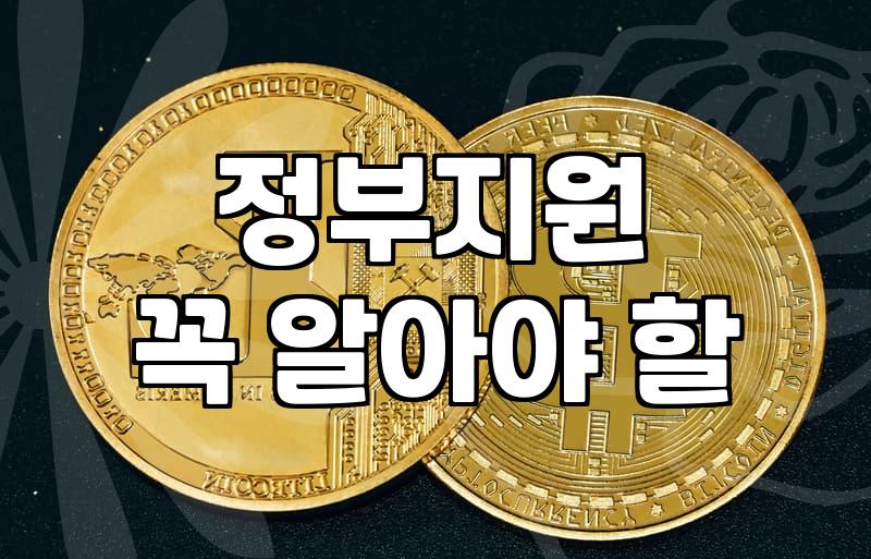 헷갈리는 정부 보조금, 똑똑하게 찾아 신청하는 실전 가이드