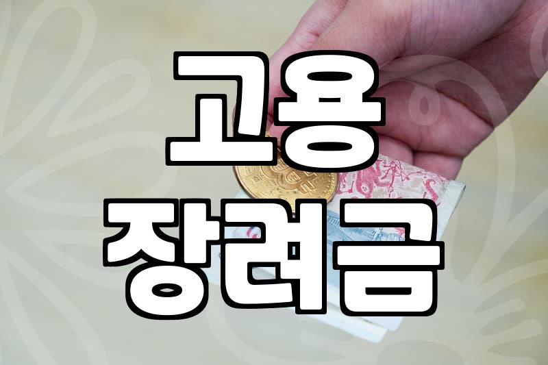 정부지원금 활용한 채용 전략과 기업이 반드시 알아야 할 현실적 한계