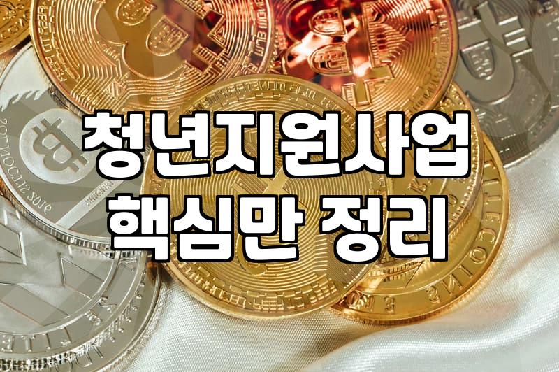 청년지원 정책의 실제 신청 자격과 유형별 수혜 조건