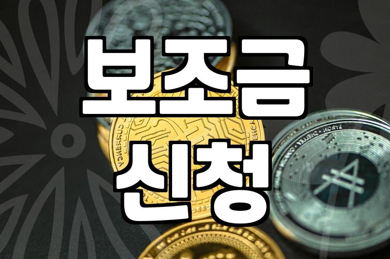 지자체 보조금 사업, 알고 보면 도움 되는 것과 아닌 것