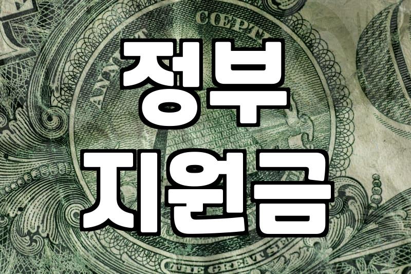 정부 보조금, ‘묻지마 신청’은 금물… 현실적인 판단이 필요합니다