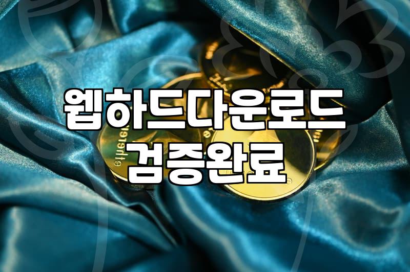 웹하드 다운로드, 현실적인 위험과 판단의 경계